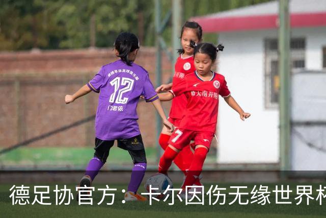 德足协官方：卡尔因伤无缘世界杯，征召韦德拉奥果入替